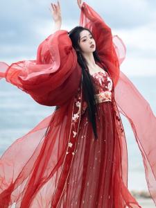 Original Tang Dynasty Hanfu Womens Long Skirt Embroidered Spring Autumn Style National Fashion Ancient Costume Half Skirt