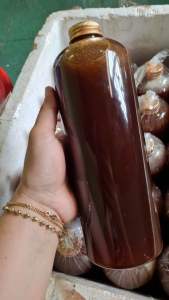 0.5lit mật ong dú rừng nguyên chất Tây nguyên