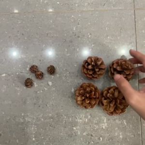 Quả thông khô phụ kiện decor noel trang trí giáng sinh
