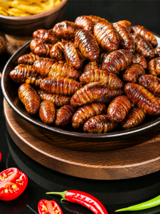 ZUIYUGE | Ready-to-Eat Spicy Crispy Silkworm Pupae Snacks