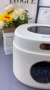 DOMENG 【有效降糖 70%】4L 低糖电饭煲 电煮锅 迷你电饭煲 多功能电饭煲 / Low Sugar Rice Cooker Multifunctional Mini Rice Cooker