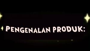 Roscloud Drone remote control penerbangan induksi drone bulat UFO drone anti-tabrakan lampu keren