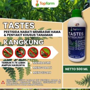 Obat Hama Tanaman Kangkung & Obat Cair Tanaman Daun Kangkung