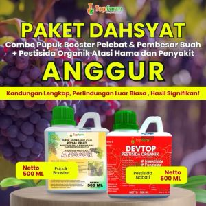 Panduan Penggunaan Pupuk Topfarm & Pestisida untuk Tanaman Anggur