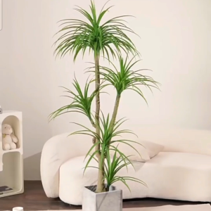 DRACAENA MARGINATA Artificial Plant Artificial Flower Faux Greenery Potted Plant Home Decoration Indoor Outdoor Decorative Plants for Living Room Bedroom Office Desk Tabletop Garden Café Event Wedding Artificial Decorative Plant Ornament Accessories
