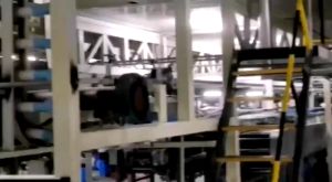 Crosspoint Nitrile Examination Gloves (Blue): A Comprehensive Guide