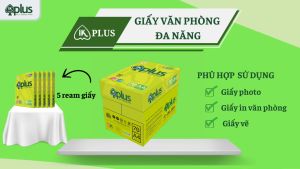 Combo 2 Thùng Giấy A4 IK Plus 70gsm