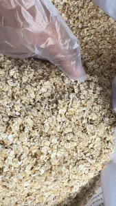 [HCM] 1KG Yến Mạch Nguyên Chất Cán Vỡ - Ăn Lành Sống Khỏe Cho Cả Nhà