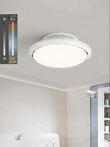 DGY | Bladeless Full Spectrum Quiet Ceiling Fan Light