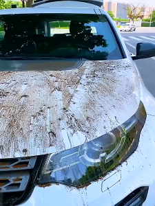 Dual Layer Microfiber Car Cleaning Towel Multipurpose High Water Absorption Plush Wax Polish Cloth Kain Lap Kereta