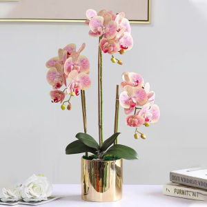 การตกแต่ง Phalaenopsis ระดับไฮเอนด์สไตล์นอร์ดิกตกแต่งห้องนั่งเล่นดอกไม้ประดิษฐ์ตกแต่งดอกไม้โต๊ะคอมพิวเตอร์