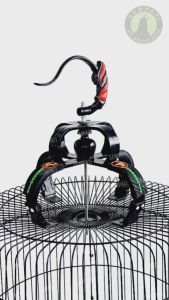 Mahkota Socket Sangkar Burung Murai: Aksesoris Hewan Peliharaan