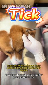 Kill all insects in 1 second Tick and flea spray 450ml Completely Kills MitesLice FleaTicksCockroaches AntsFlea and tick killer ubat kutu kucing catanjing Plant Formula ubat kutu dan hama kucing 猫和狗狗驱虫药跳蚤药 medicine for cats&dogs