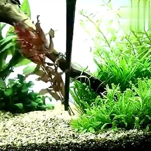 ซื้อ 1 แถม 1 แหนบสแตนเลส หัวตรง 14ซม./27ซม. ข้องอ ครบชุด ใช้งานง่าย เบาและคล่องตัว