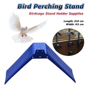 MaxPlus Outdoor Anti-Climb Plastic Security Fence Spikes Bird Spikes Bird Cat Deterrent Spikes
