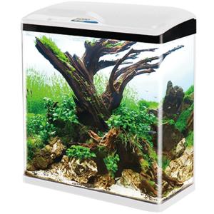 SOBO | Scenic Clear Glass Small Aquarium