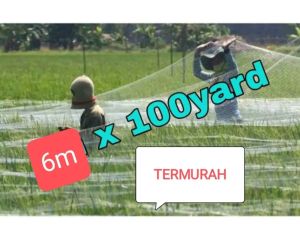 Jaring Burung Sawah lebar ±6m panjang ±90m Jaring pengaman peng halo burung sawah jaring padi jaring pertanian jaring burung keciľ
