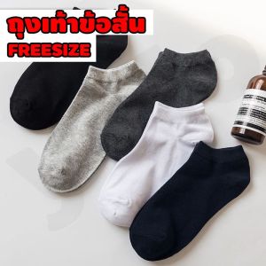 ถุงเท้าข้อสั้น ถุงเท้าสีพื้ จัดส่งจากกทม เนื้อผ้ายืดหยุ่น ใส่สบาย ผ้าฝ้าย ไม่อับชื้น Freesize