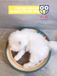 Scratch Resistant Cat Toy & Circular Cat Scratcher: A Comprehensive Guide