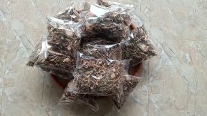 1 gói trà xương khóp gói 100g dùng thử