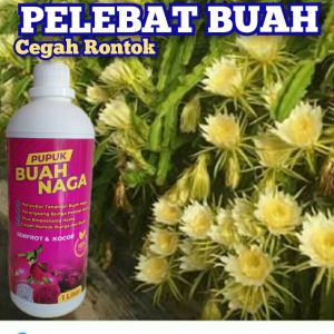 Pupuk Buah Naga Penyubur Pelebat Buah Plus Biopestisida Organik Pupuk Cair Organik Buah Naga