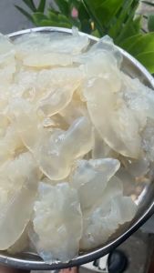 Chân sứa biển ăn liền bịch 500g không tính nước