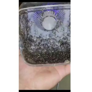 HÀNG LOẠI 1 Đèn bắt muỗi thông minh Máy bắt Muỗi Kiêm Đèn ngủ Máy diệt muỗi và Côn trùng hiệu quả Cắm Cổng USB tiện dụng