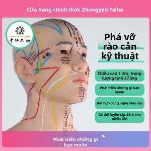 Mô Hình Huyệt Đạo Dùng Để Thực Hành Châm Cứu Cho Việc Dạy Y Học Truyền Thống Trung Quốc