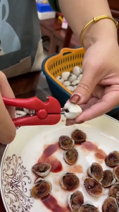 Alat Buka Kerang & Tang Pembuka Kerang: Fitur, Cara Penggunaan & Keunggulan