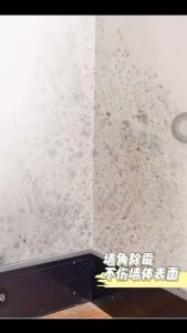 现货墙体除霉剂墙面家用清除墙壁防发霉咖喱神器喷雾去霉斑霉菌清洁剂/Wall mold remover household spray to remove mold and prevent mold growth on walls