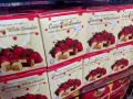 Coklat Putih Strawberry Cameron Highlands. 