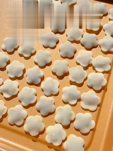 Cetakan 9 Pcs Buah Serbaguna / Stainless Steel Cetakan Bento Anak / Pemotong Bahan Makanan Praktis