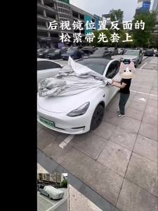 Dust & Protection Cover For Engine Hood Windshield