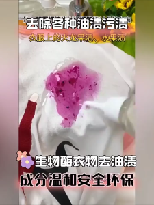 🔥 Bio Enzyme Oil Stain Remover | Clothes Dry Cleaning Cleaner | Down Jacket Oil Stain Cleaner