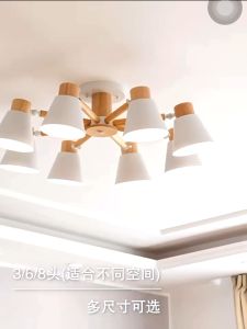 Nordic Living Room Chandelier & Luxury Bedroom Wood Lamp: A Comprehensive Guide