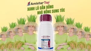 Thuốc trừ bệnh Amistar Top 325SC trị rỉ sắt thán thư lem lép hạt chết non phần trắng - 100ml
