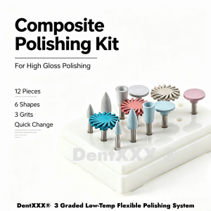 12Pcs Silicone Rubber Diamond Resin Polishing Kit Composite Resin Grinding & Polishing Wheel and Head