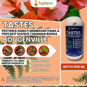 Cara Menggunakan Obat Bunga Tumbuh Subur