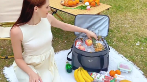 30L Portable Thermal Insulation Cooler Bag Large Capacity Outdoor Camping Picnic Food Bag Insulated Bag