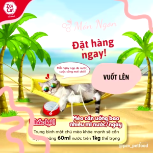 tổng hợp thức ăn hạt giá rẻ ZOI CAT YUMMY CUTIES APRO SMILLIE CAT TA CAT LIKE dành cho mèo 1kg - T3 PETS SHOP