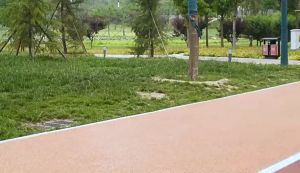 【CAMPOUT】 Ghế ngồi câu Cá Gấp Gọn Maza nhỏ tiện dụng ngoài trời cho nhà ở Ghế đẩu trẻ em ghế xếp lưng xe lửa người lớn