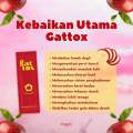 Gattox by Inayah Beauty. 