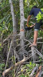 เลื่อยยนต์ TOKIDA KD-5800 เหลือง-ดำ มีตัวเลือกบาร์เพิ่ม11.5พร้อมโซ่ ตัดได้ 360 องศา เครื่องร้อนไม่ดับ พร้อมอุปกรณ์ใช้งาน ราคาถูกโปรโมชั่น