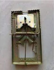 JEBAKAN TIKUS// JEPRETAN TIKUS// BENCET TIKUS// PERANGKAP TIKUS