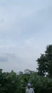 Asb Baju Pria Dewasa Koko slim fit Kemko shoba formal atasan kemeja katun sultan premium terbaru