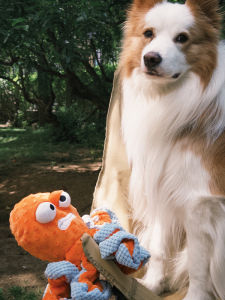 Yaomland Dog Toy Doll Interactive Tug of War Energy Consuming Large Dogs Sound Making Paper Products Plush Doll Outer Material