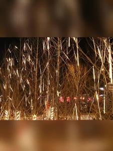 BEAUTY IN THE LIGHT | Solar Powered Waterproof Colorful Flashing Outdoor Decoration Lights