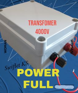 Transfomer 4000v Electric fence
