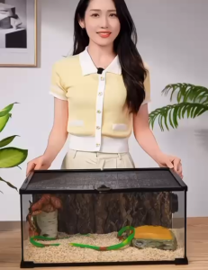 🐍🦔🦎【READY-STOCK】Pet Reptile Glass Tank Cage Terrarium Tank High Quality Glass Reptile Breeding Box Geckos Snakes 玻璃爬宠饲养箱