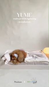 Designers Pet Bed Set | เตียง+เบาโต๊ะ สำหรับหมา แมว สไตล์ใหม่ | ที่นอนสัตว์เลี้ยงมีสไตล์ ที่นอนหมา มีเครื่องประสบการณ์สำหรับการออกกำลังกาย